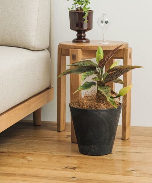 URBAN RESEARCH DOORS / アーバンリサーチ ドアーズ その他雑貨 | amabro　ART STONE S BK | 詳細3