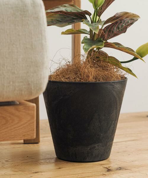 URBAN RESEARCH DOORS / アーバンリサーチ ドアーズ その他雑貨 | amabro　ART STONE S BK | 詳細4