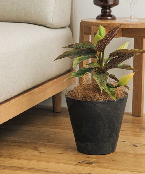 URBAN RESEARCH DOORS / アーバンリサーチ ドアーズ その他雑貨 | amabro　ART STONE S BK（ブラック）