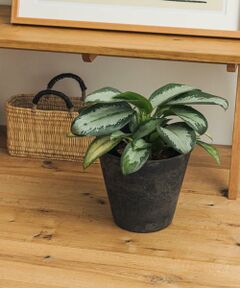 URBAN RESEARCH DOORS / アーバンリサーチ ドアーズ その他雑貨 | 『WEB限定』amabro　ART STONE M BK