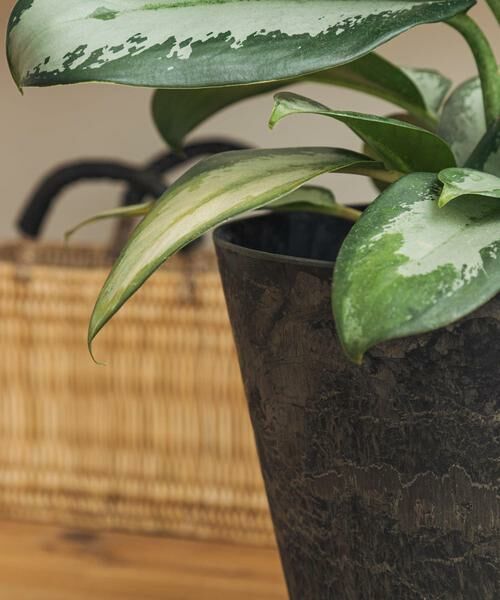 URBAN RESEARCH DOORS / アーバンリサーチ ドアーズ その他雑貨 | 『WEB限定』amabro　ART STONE M BK | 詳細2