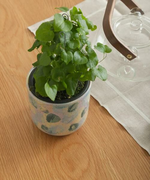 URBAN RESEARCH DOORS / アーバンリサーチ ドアーズ その他雑貨 | Inter Plants Net　パレット 10.5 | 詳細9