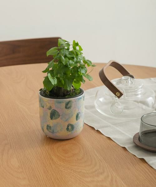 URBAN RESEARCH DOORS / アーバンリサーチ ドアーズ その他雑貨 | Inter Plants Net　パレット 10.5 | 詳細10