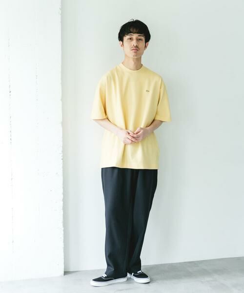 URBAN RESEARCH DOORS / アーバンリサーチ ドアーズ Tシャツ | 『別注』LACOSTE×DOORS　MOSS STITCH SHORT-SLEEVE T-SHIRTS | 詳細6