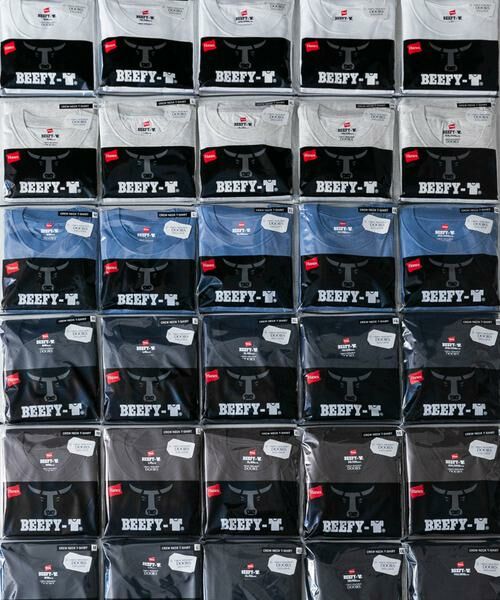 URBAN RESEARCH DOORS / アーバンリサーチ ドアーズ Tシャツ | 『別注』HANES×DOORS BEEFY-T DOORS FIT SHORT-SLEEVE | 詳細19