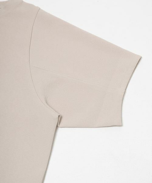 URBAN RESEARCH DOORS / アーバンリサーチ ドアーズ Tシャツ | 袖ボリュームクロップドプルオーバー | 詳細9