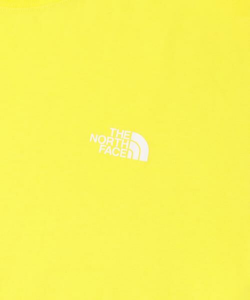 URBAN RESEARCH DOORS / アーバンリサーチ ドアーズ Tシャツ | THE NORTH FACE　SHORT-SLEEVE FD GLOBEGRID T-SHIRTS | 詳細3