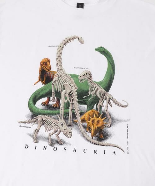 URBAN RESEARCH DOORS / アーバンリサーチ ドアーズ Tシャツ | LIBERTY GRAPHICS　GRAPHIC T-SHIRTS | 詳細6
