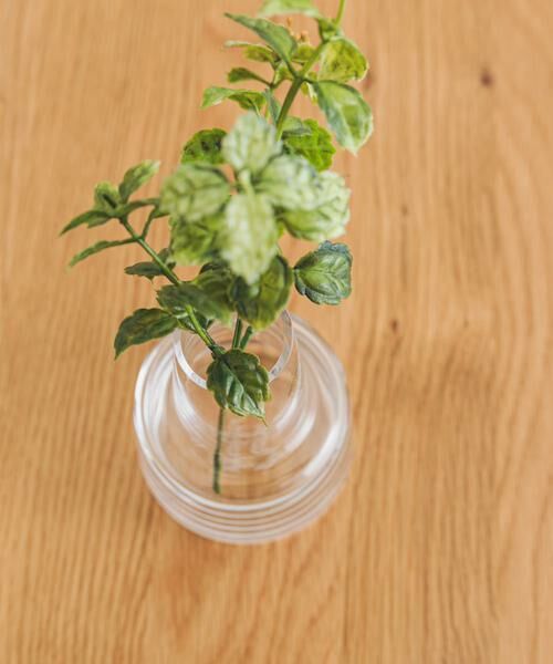 URBAN RESEARCH DOORS / アーバンリサーチ ドアーズ インテリア・インテリア雑貨 | HOLMEGAARD　Flora vase H12cm medium neck | 詳細5