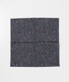 URBAN RESEARCH DOORS / アーバンリサーチ ドアーズ ハンカチ | LIFE STYLE TAILOR　ペイズリー柄コットンハンカチ
