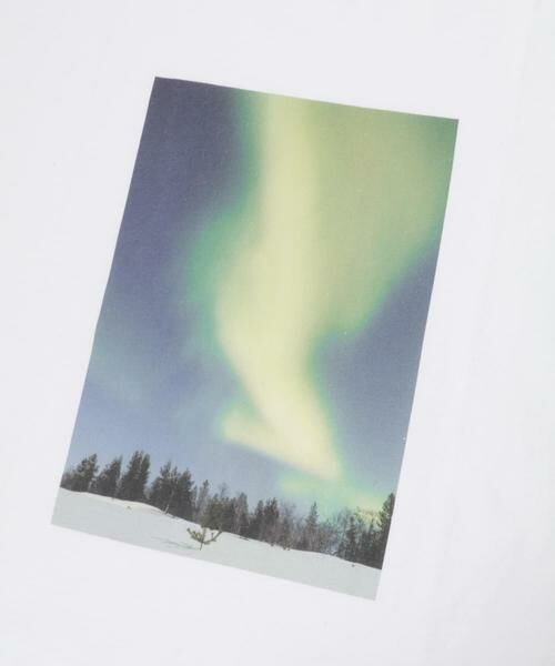 URBAN RESEARCH DOORS / アーバンリサーチ ドアーズ Tシャツ | NATURE PHOTO SHORT-SLEEVE T-SHIRTS | 詳細11