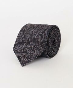 URBAN RESEARCH DOORS / アーバンリサーチ ドアーズ ネクタイ | LIFE STYLE TAILOR　26AW国内タイ ペリズリー1