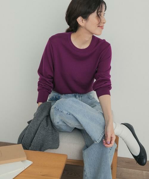 URBAN RESEARCH DOORS / アーバンリサーチ ドアーズ ニット・セーター | ウォッシャブルウールクルーネックプルオーバー（パープル系その他）