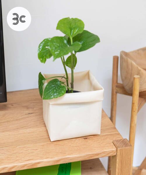 ＊＊URBAN RESEARCH DOORS / アーバンリサーチ ドアーズ その他雑貨 | commpost　MULTIPURPOSE BAG S（Natural）