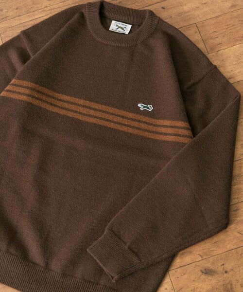 ＊＊URBAN RESEARCH DOORS / アーバンリサーチ ドアーズ ニット・セーター | 『別注』PENNEYS×DOORS　THE FOX ボーダーCNニット（BROWN）