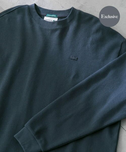 ＊＊URBAN RESEARCH DOORS / アーバンリサーチ ドアーズ Tシャツ | 『別注』LACOSTE×DOORS　thick pique crew long-sleeve（GRAPHITE）