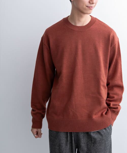 ＊＊URBAN RESEARCH DOORS / アーバンリサーチ ドアーズ ニット・セーター | FORK&SPOON　ウーステッドヤーンクルーネックニット（RENGA）