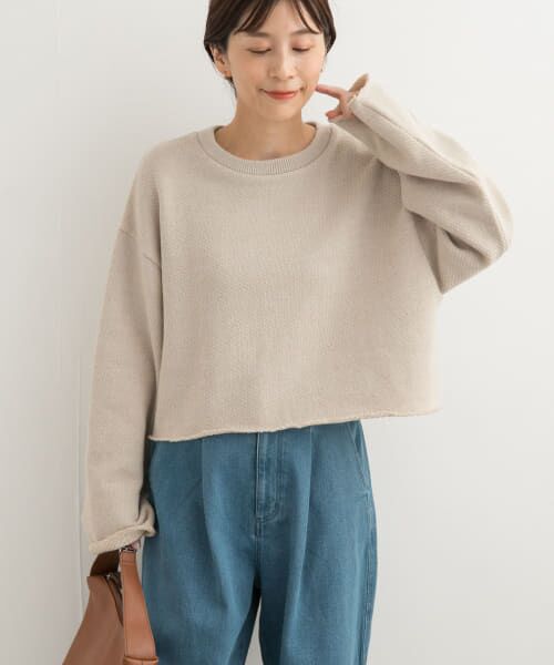 ＊＊URBAN RESEARCH DOORS / アーバンリサーチ ドアーズ Tシャツ | ローゲージインレイプルオーバー（L/BEIGE）