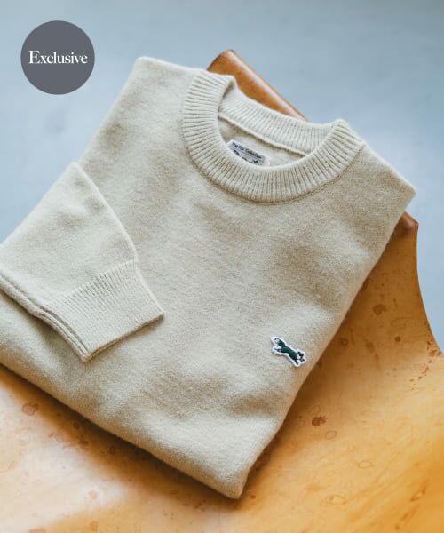 ＊＊URBAN RESEARCH DOORS / アーバンリサーチ ドアーズ ニット・セーター | 『XLサイズWEB限定』『別注』PENNEYS×DOORS　THE FOX クルーネックスフレニット（ECRU）