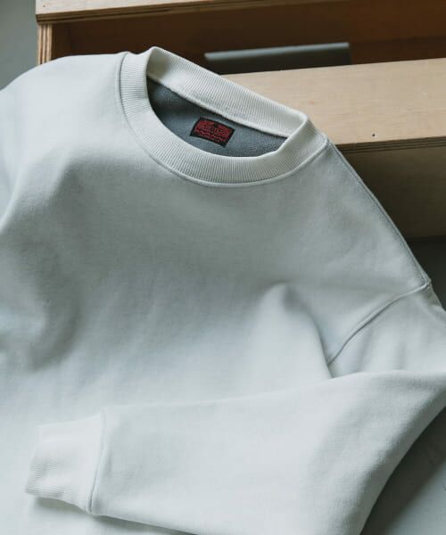 ＊＊URBAN RESEARCH DOORS / アーバンリサーチ ドアーズ スウェット | CRITTER　MOUNTAIN スウェット（WHITE）