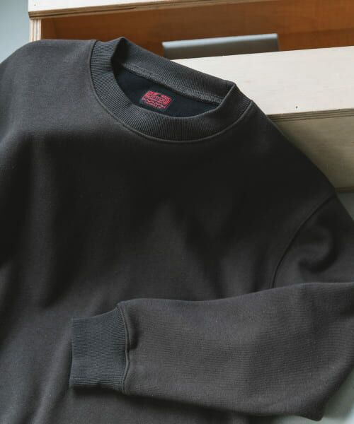 ＊＊URBAN RESEARCH DOORS / アーバンリサーチ ドアーズ スウェット | CRITTER　MOUNTAIN スウェット（CHARCOAL）