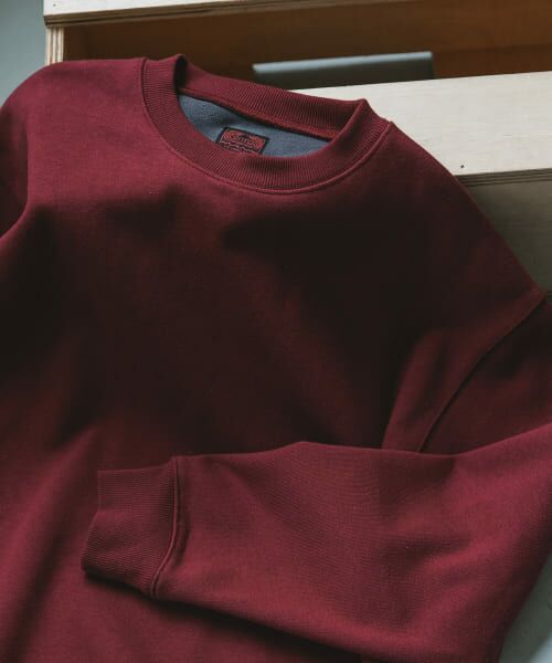 ＊＊URBAN RESEARCH DOORS / アーバンリサーチ ドアーズ スウェット | CRITTER　MOUNTAIN スウェット（BURGUNDY）
