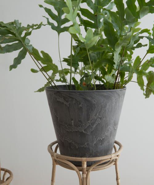 ＊＊URBAN RESEARCH DOORS / アーバンリサーチ ドアーズ その他雑貨 | 『WEB限定』amabro　ART STONE M（GY）