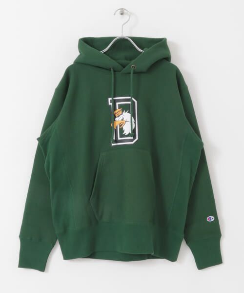 Champion polar hot sale fleece hoodie