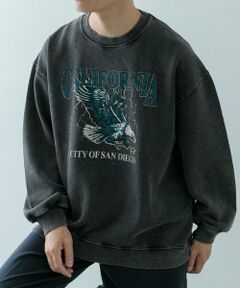 URBAN RESEARCH ITEMS / アーバンリサーチ アイテムズ スウェット | パウダー加工 クルーネックスウェットプルオーバー