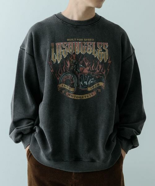 URBAN RESEARCH ITEMS / アーバンリサーチ アイテムズ スウェット | パウダー加工 クルーネックスウェットプルオーバー | 詳細1