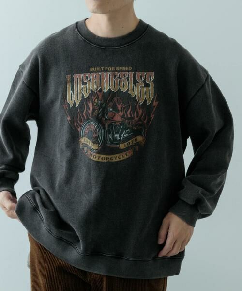 URBAN RESEARCH ITEMS / アーバンリサーチ アイテムズ スウェット | パウダー加工 クルーネックスウェットプルオーバー | 詳細2