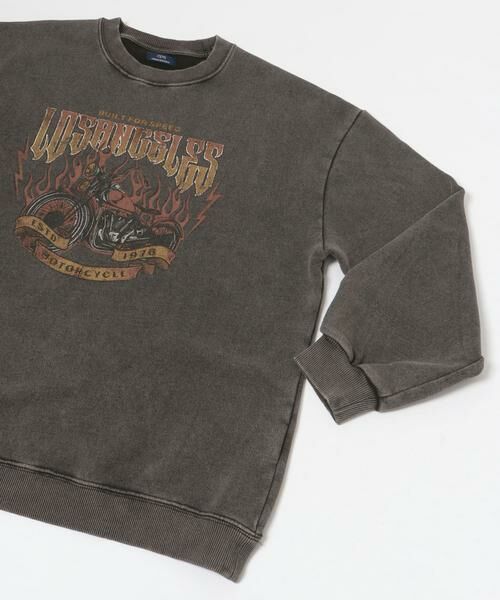 URBAN RESEARCH ITEMS / アーバンリサーチ アイテムズ スウェット | パウダー加工 クルーネックスウェットプルオーバー | 詳細6