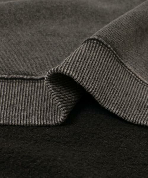URBAN RESEARCH ITEMS / アーバンリサーチ アイテムズ スウェット | パウダー加工 クルーネックスウェットプルオーバー | 詳細8