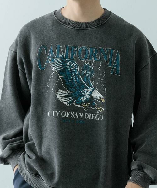 URBAN RESEARCH ITEMS / アーバンリサーチ アイテムズ スウェット | パウダー加工 クルーネックスウェットプルオーバー | 詳細16