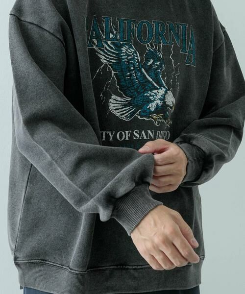 URBAN RESEARCH ITEMS / アーバンリサーチ アイテムズ スウェット | パウダー加工 クルーネックスウェットプルオーバー | 詳細17