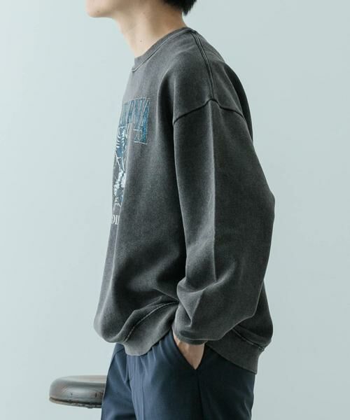 URBAN RESEARCH ITEMS / アーバンリサーチ アイテムズ スウェット | パウダー加工 クルーネックスウェットプルオーバー | 詳細18