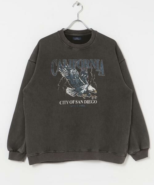 URBAN RESEARCH ITEMS / アーバンリサーチ アイテムズ スウェット | パウダー加工 クルーネックスウェットプルオーバー | 詳細21