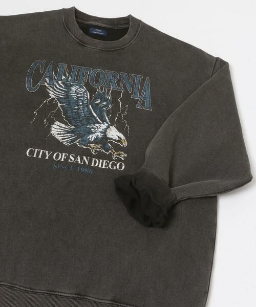 URBAN RESEARCH ITEMS / アーバンリサーチ アイテムズ スウェット | パウダー加工 クルーネックスウェットプルオーバー | 詳細22