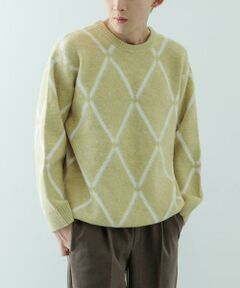 URBAN RESEARCH ITEMS / アーバンリサーチ アイテムズ ニット・セーター | ラインダイヤ クルーネック シャギーニット