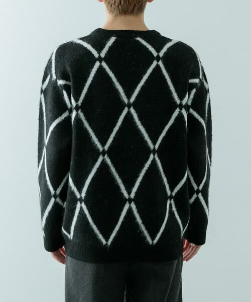 URBAN RESEARCH ITEMS / アーバンリサーチ アイテムズ ニット・セーター | ラインダイヤ クルーネック シャギーニット | 詳細11