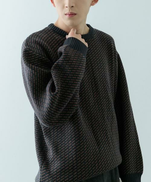 URBAN RESEARCH ITEMS / アーバンリサーチ アイテムズ ニット・セーター | マシンウォッシャブル バーズアイ クルーニット | 詳細6