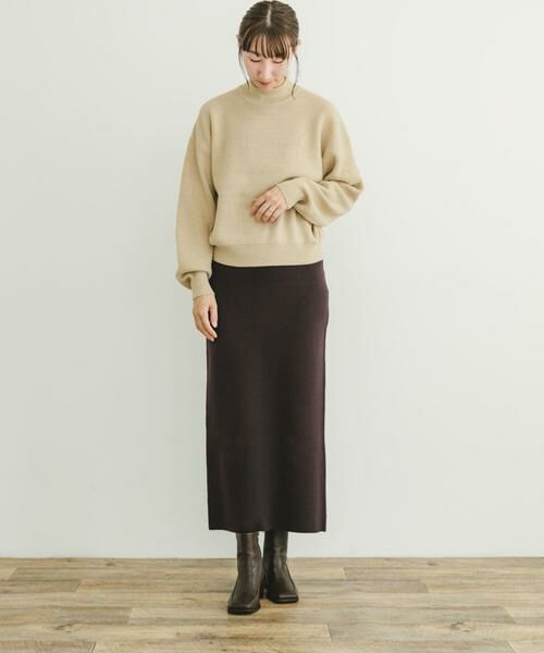 URBAN RESEARCH ITEMS / アーバンリサーチ アイテムズ ニット・セーター | プチハイアゼアミニットプルオーバー | 詳細25