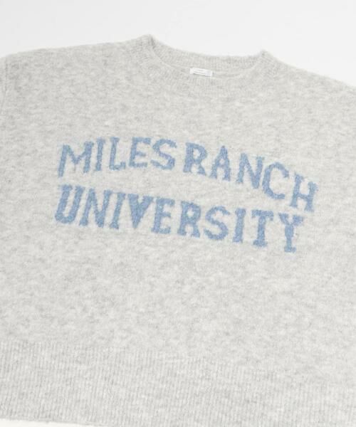 URBAN RESEARCH ITEMS / アーバンリサーチ アイテムズ ニット・セーター | ブークレビッグロゴニット | 詳細21