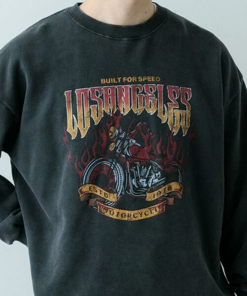 URBAN RESEARCH ITEMS / アーバンリサーチ アイテムズ スウェット | 『XLサイズあり』パウダー加工 クルーネックスウェットプルオーバー | 詳細1