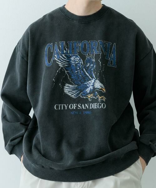 URBAN RESEARCH ITEMS / アーバンリサーチ アイテムズ スウェット | 『XLサイズあり』パウダー加工 クルーネックスウェットプルオーバー | 詳細21