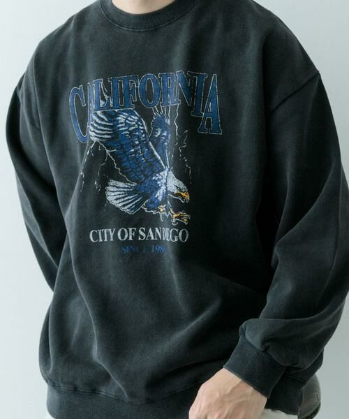 URBAN RESEARCH ITEMS / アーバンリサーチ アイテムズ スウェット | 『XLサイズあり』パウダー加工 クルーネックスウェットプルオーバー | 詳細22