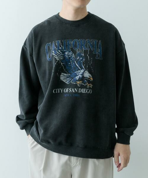 URBAN RESEARCH ITEMS / アーバンリサーチ アイテムズ スウェット | 『XLサイズあり』パウダー加工 クルーネックスウェットプルオーバー | 詳細23