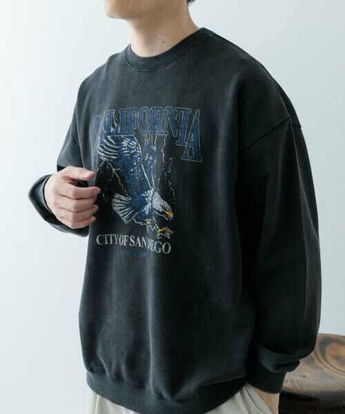 URBAN RESEARCH ITEMS / アーバンリサーチ アイテムズ スウェット | 『XLサイズあり』パウダー加工 クルーネックスウェットプルオーバー | 詳細24