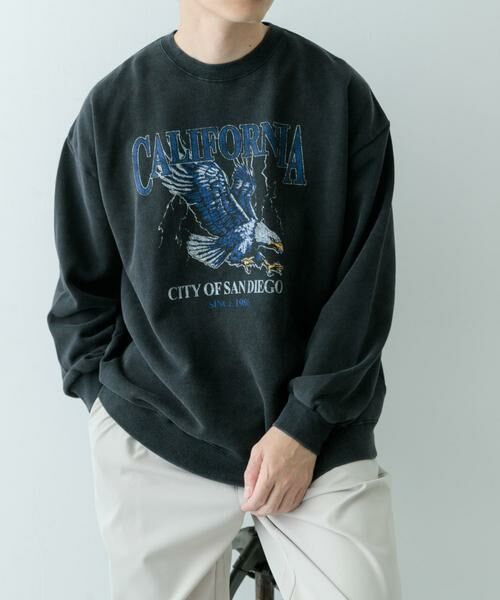 URBAN RESEARCH ITEMS / アーバンリサーチ アイテムズ スウェット | 『XLサイズあり』パウダー加工 クルーネックスウェットプルオーバー | 詳細25