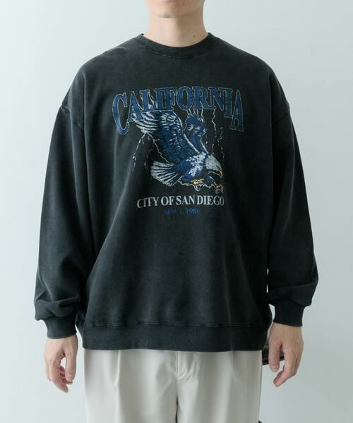 URBAN RESEARCH ITEMS / アーバンリサーチ アイテムズ スウェット | 『XLサイズあり』パウダー加工 クルーネックスウェットプルオーバー | 詳細28